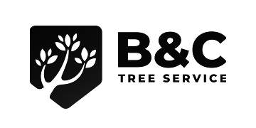 BC Tree Service